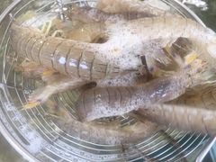 皮皮虾-蓝珊甄选海鲜自助·火锅大排档(近阿那亚店)