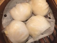 -美心皇宫(屯门大会堂店)