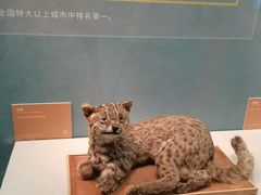 -深圳博物馆历史民俗馆