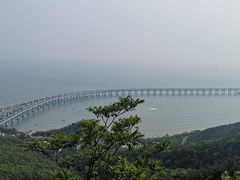 -星海湾跨海大桥