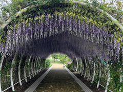 -同里国家湿地公园
