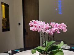 -次第花开素食雅宴