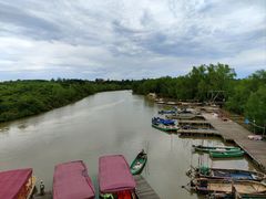 -东寨港红树林旅游区