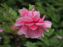 -陕西师范大学(雁塔校区)
