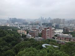 -福道