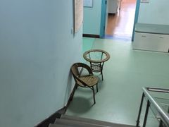 -北京观赏动物医院·24小时大型综合·猫专科·异宠专科