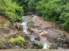 -广州白江湖森林公园