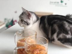 -泰国佛·塔罗·泰牌狐仙古曼