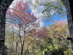 -天龙八部武侠城