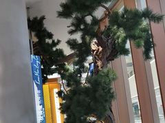-桂满陇·手作小笼包&江南叫花鸡(中山公园店)