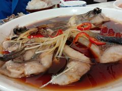 -煲来饱去冷水鱼