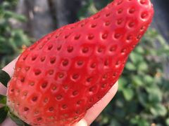 -老方牛味馆