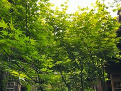 -花迹·金陵南京菜(老门东店)