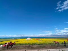 -青海湖国家重点风景名胜区