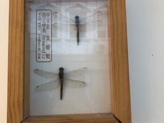 -TIENSTIENS将将(三里屯店)