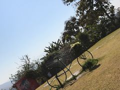 -黄色小屋