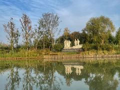 -泗洪洪泽湖湿地景区