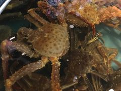 -蟹之国·精品蟹料理(极地店)