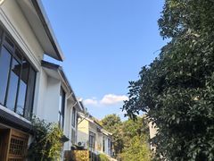 -庆春朴门