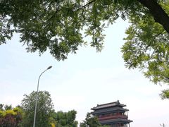 门面-永定门公园