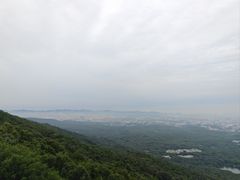 -紫金山山顶公园