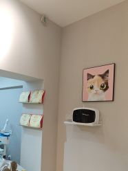 -洗脸猫·洗脸吧
