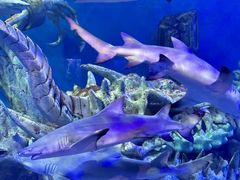 -波塞冬旅游度假区