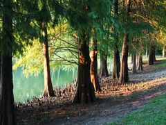 -华南国家植物园-售票处