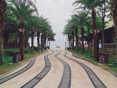 -马銮湾景区
