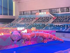 -水立方嬉水乐园