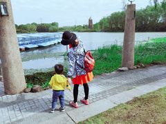 -昆山城市生态森林公园