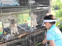 -樂桃源奉贤黄桃种植采摘基地