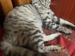 -老北京褡裢火烧·任记