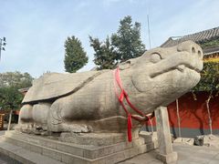 -正定古城-开元寺