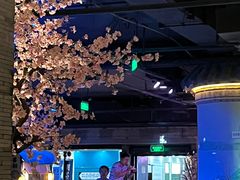 -桂满陇-西湖船宴(西单大悦城店)