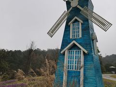 -铁山坪森林公园