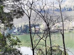 -天台国家森林公园水上茶乡九鹏溪