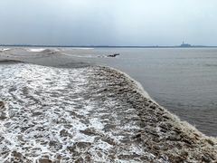 -观潮胜地公园