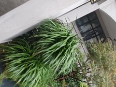 -紫· 割烹  Kappo Murasaki