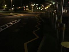 -正正文志记猪什汤