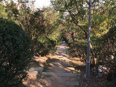 -贮水山儿童公园