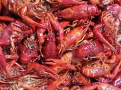 android_upload_pic-江湖翅客