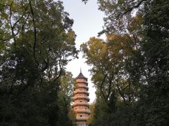 -灵谷景区