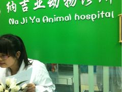 -纳吉亚猫专科动物诊疗中心(蒋宅口分院)