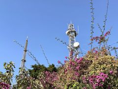 -景山公园