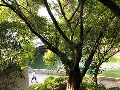 -桂林两江四湖景区