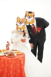 -金夫人婚纱摄影(总店)