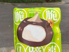 脆脆马蹄爽-泽田本家·铜锣烧(环贸店)