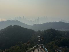 -大金鹰园