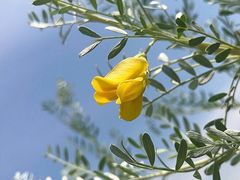 -艾溪湖湿地公园